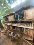 Chicken/Rabbit Cages - Used - 4