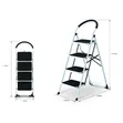 Family Use Ladder - Brand New - 1