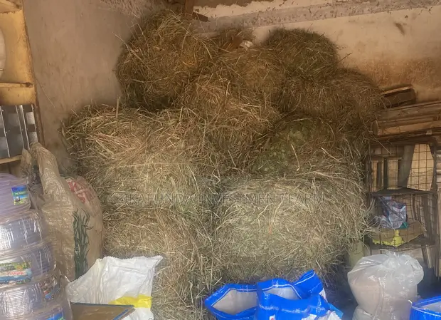 Hay Bales for Animals - 1