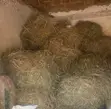 Hay Bales for Animals - 2