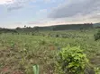 2.5 Acres Fertile Land, Kikonge-Mityana Rd - 2