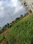 40 Decimals Land for Sale, Kira Kasangati Road - 3