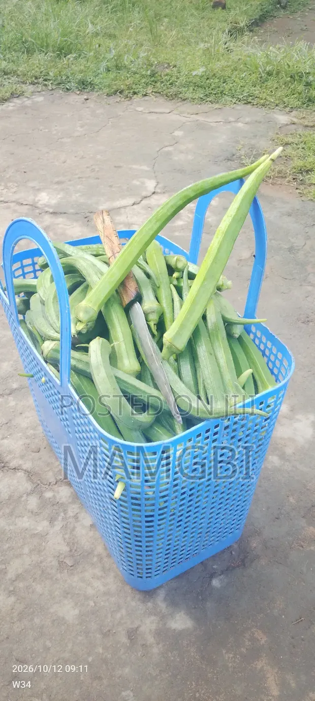 Fresh Okra - 1