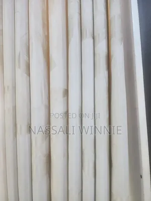 Graceful Window Curtains - Brand New