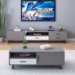 TV Stand and Center Table Combo