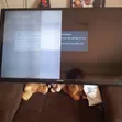 Samsung 52 Inch LED TV Parts - 3