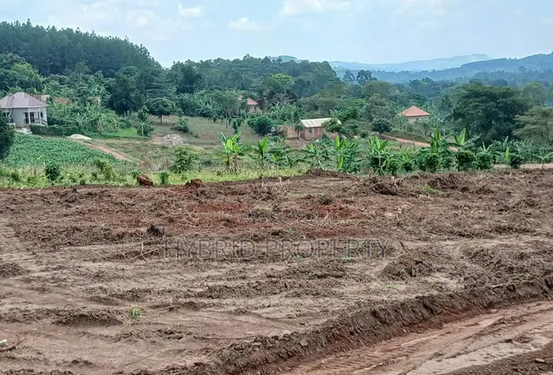 Prime Plots for Sale at Namayumba Harmony Land Estate - 1