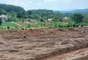 Prime Plots for Sale at Namayumba Harmony Land Estate