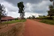 Prime Plots for Sale at Namayumba Harmony Land Estate - 3