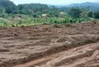 Prime Plots for Sale at Namayumba Harmony Land Estate - 4