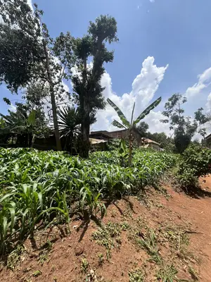 Land for Sale - Namele