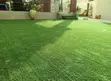 Glass Carpet - Green Decorative Accessory - 2