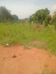 Katale Plot for Sale - Seguku - 1
