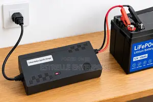 14.6V 22A Lithium Battery Charger - 12V Lithium Charger
