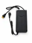 29.2V 10A Lithium Battery Charger for 24V LiFePO4 - 2