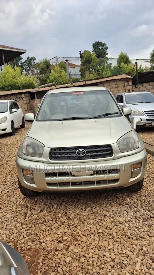 Toyota RAV4 2002 Silver - 1