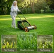 Denmark GINGE Manual Push Reel Lawn Mower - 1
