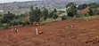 Hill View Plots for Sale - Ssisa Hill - 1