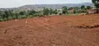 Hill View Plots for Sale - Ssisa Hill - 2