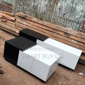 Wooden TV Stand + Center Table Combo