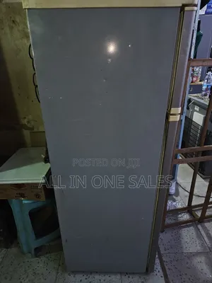 Ignis Refrigerator Double Door 220L