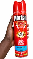 Mortein Doom PowerGard Odourless Insect Killer Spray 600ml - 1