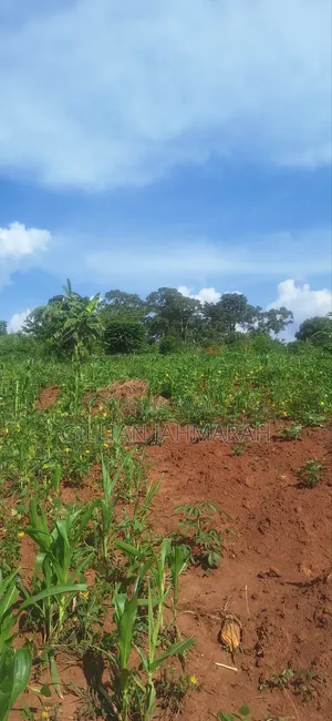 50x100 Plots for Sale in Kasangati - UGX 45M