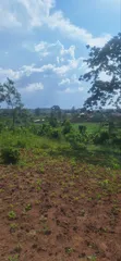 50x100 Plots for Sale in Kasangati - UGX 45M - 3
