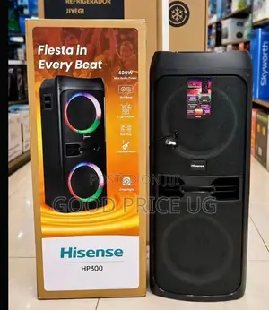 Hisense HP300 Party DJ Speaker