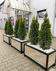 Heavy-Duty Outdoor Stone Slate Planter Pots - 4