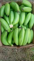 Quality Fresh Green Matooke/Plantain - 2