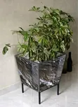 Square Ceramic Tile Flower Pots - 2