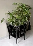Square Ceramic Tile Flower Pots - 4