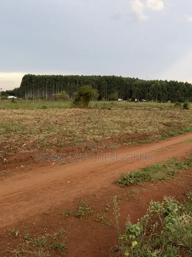75 Acres Land in Myanzi Kigalama with Lake Wamala View - 1