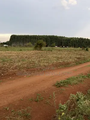 75 Acres Land in Myanzi Kigalama with Lake Wamala View