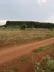 75 Acres Land in Myanzi Kigalama with Lake Wamala View - 1