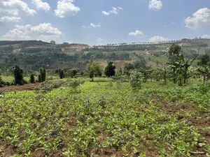Acre of Fertile Land at Buwalula, 4km Off Mityana-Kampala Road