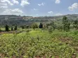 Acre of Fertile Land at Buwalula, 4km Off Mityana-Kampala Road - 1