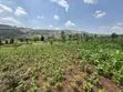 Acre of Fertile Land at Buwalula, 4km Off Mityana-Kampala Road - 4