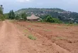 Prime Plots for Sale at Mpigi Town Harmony Modern View Estate - 3