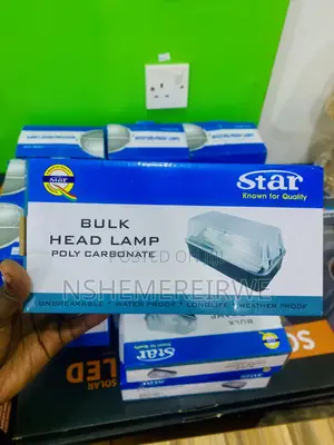 Bulk Head Lamp for Outdoor Lighting