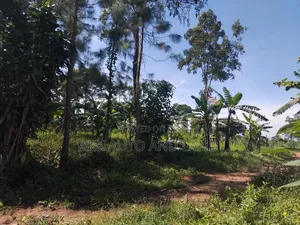 7 Acres Residential Land for Sale in Nakisunga
