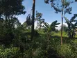 7 Acres Residential Land for Sale in Nakisunga - 2