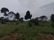 7 Acres Residential Land for Sale in Nakisunga - 3