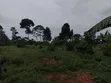 7 Acres Residential Land for Sale in Nakisunga - 4