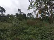 7 Acres Residential Land for Sale in Nakisunga - 5