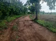 Nampunge 1.5km Private Mailo Land for Sale - 1