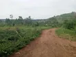 Nampunge 1.5km Private Mailo Land for Sale - 2