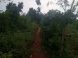 Nampunge 1.5km Private Mailo Land for Sale - 3