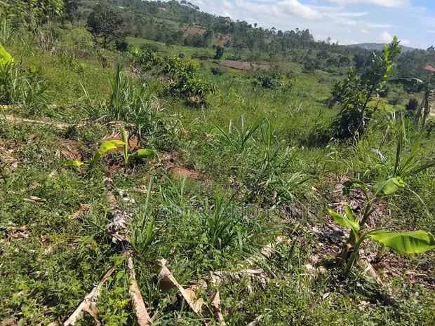 Mukono Land - 2 Acres Residential - 1